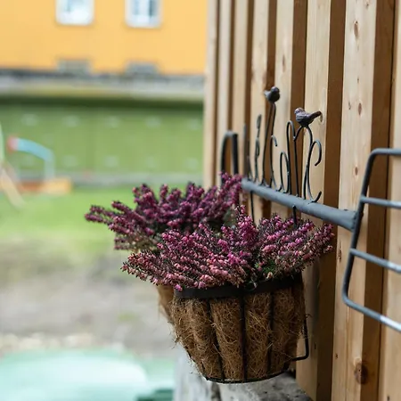 Garden Next To Telliskivi & Old Town Tallinn